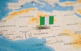 null Credit: hyotographics/Shutterstock