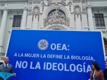 A poster against gender ideology exhibited in front of the Peruvian Congress, Oct. 3, 2022.