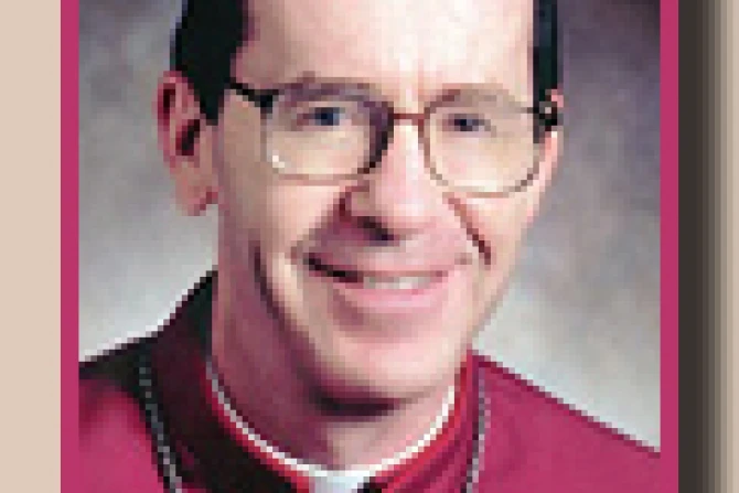 olmstedXSmalldropshadow