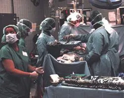 Doctors conducting an organ removal. ?w=200&h=150