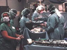 Doctors conducting an organ removal. 
