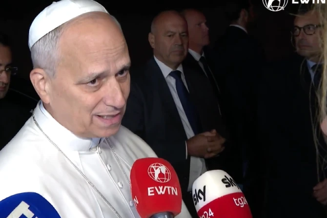 Pope Leo on Nov. 4, 2025