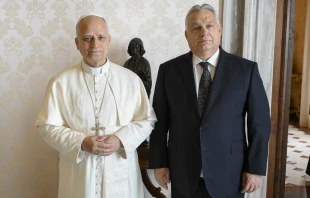 Pope Leo XIV meets with Hungarian Prime Minister Viktor Orbán on Oct. 27, 2025, at the Vatican. Credit: Vatican Media