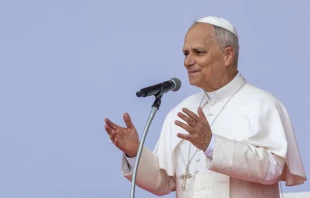 Pope Leo XIV at Tor Vergata during the final Mass of the Jubilee of Youth on Aug. 3, 2025. Credit: Daniel Ibáñez/EWTN News