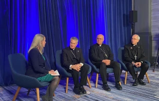 Maura Moser (far left), director of the Catholic Communications Campaign, moderates a discussion on immigration with (left to right) Archbishop Timothy P. Broglio, president of the United States Conference of Catholic Bishops; Bishop Kevin C. Rhoades, chair of the USCCB’s religious liberty committee, and Bishop Mark Seitz, chairman of the USCCB’s migration committee, on Nov. 11, 2025, during a press conference at the conference’s Fall Plenary Assembly in Baltimore. Credit: Shannon Mullen/National Catholic Register