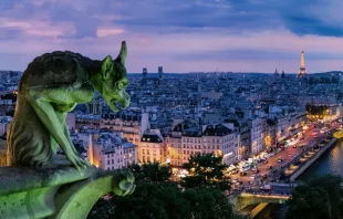 Gargoyle at Notre-Dame Cathedral in Paris /   Pedro Lastra on Unsplash