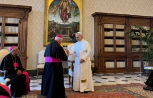 A delegation of Peruvian bishops greets Pope Leo XIV, inviting him to visit Peru, during an audience on June 30, 2025, at the Vatican. Credit: Peruvian Episcopal Conference