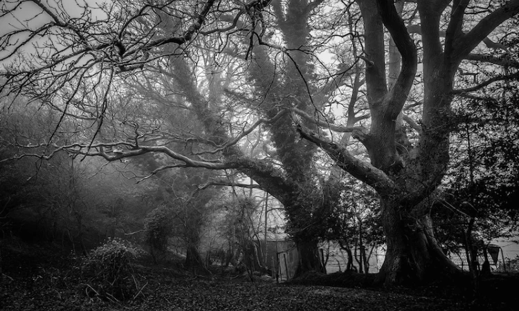 photo 1440882616325 43e474ece3d0