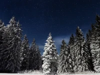 Image by Paul Itkin via Unsplash