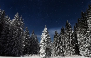 Image by Paul Itkin via Unsplash