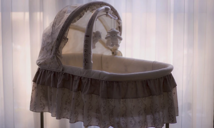 photo 1458731909820 5850bdcaee0b