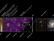 Planck history of the universe