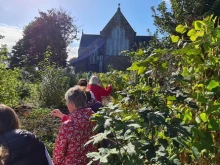 Killorglin Parish, Co. Kerry, Biodiversity Garden, September 2022.