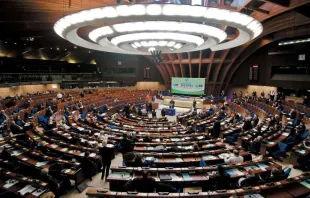 A session of the Parliamentary assembly of the Council of Europe /   Wikimedia Commons