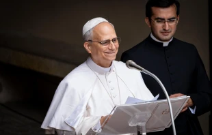 Pope Leo XIV addresses the crowd at the Angelus on July 13, 2025, at the papal estate of Castel Gandolfo. Credit: Stefano Costantino/EWTN News