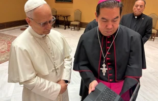Pope Leo XIV receives a video from the Hope Border Institute from Auxiliary Bishop Anthony Celino on Oct. 8, 2025. Credit: Fernie Ceniceros/El Paso Diocese