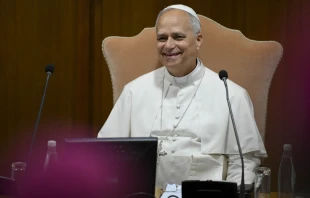 Pope Leo XIV at the Vatican on Sept. 11, 2025. Credit: Vatican Media