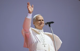 Pope Leo XIV waves to pilgrims the closing Mass of the Jubilee of Youth on Aug. 3, 2025. Credit: Vatican Media