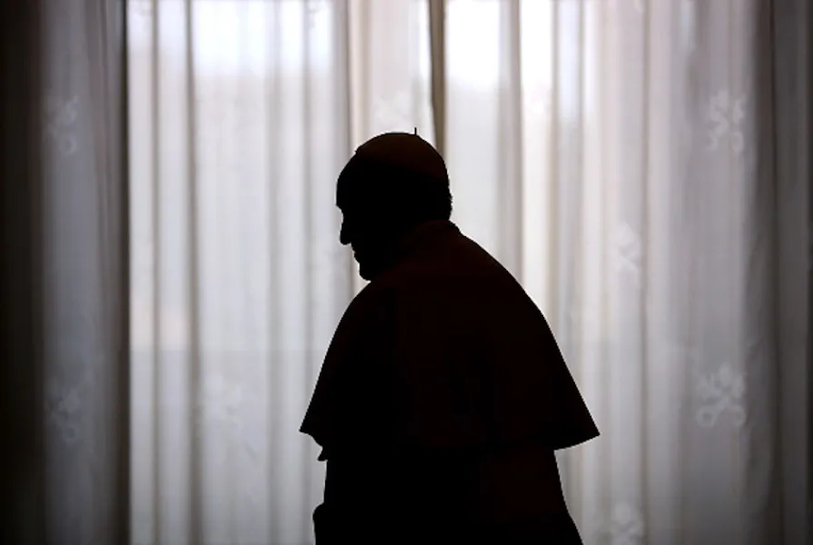 The silhouette of Pope Francis during a meeting with King Albert II and Queen Paola of Belgium in the Apostolic Palace on April 26, 2014. ?w=200&h=150