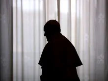 The silhouette of Pope Francis during a meeting with King Albert II and Queen Paola of Belgium in the Apostolic Palace on April 26, 2014. 