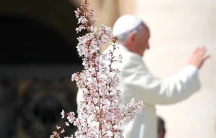 Pope Francis.   Yahaira Jacquez/CNA.