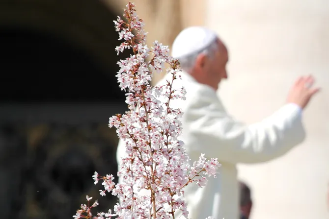 pope springtime cna size