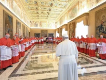 Pope Francis meets with the College of Cardinals on July 1, 2024.