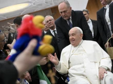 Pope Francis greets pilgrims gathered in the Paul VI Audience Hall for his Wednesday general audience on Jan. 15, 2025, at the Vatican.