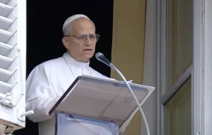 Pope Leo XIV urges “full respect for humanitarian law” amid a food crisis in Gaza  in his address following the Angelus prayer on July 27, 2025, at the Vatican. Credit: Vatican Media screenshot
