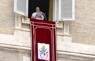 Pope Leo XIV gives his Sunday Angelus address from the Apostolic Palace overlooking St. Peter’s Square on Aug. 24, 2025, at the Vatican. Credit: Vatican Media