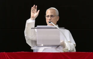 Pope Leo XIV waves to pilgrims gathered in St. Peter’s Square for his Sunday Angelus on Oct. 26, 2025, at the Vatican. Credit: Vatican Media