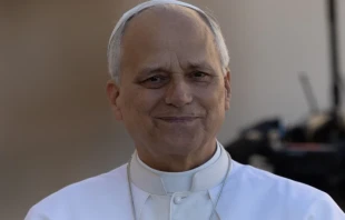 Pope Leo XIV. Credit: Daniel Ibáñez/EWTN News