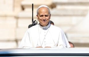 Pope Leo XIV greets the faithful gathered in St. Peter’s Square from the popemobile during his Wednesday general audience on Aug. 6, 2025. Credit: Daniel Ibañez/CNA
