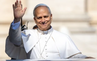 Pope Leo XIV waves to pilgrams gathered in St. Peter’s Square at the Vatican for his Wednesday general audience on Aug. 6, 2025. Credit: Daniel Ibañez/CNA