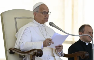 Pope Leo XIV addresses pilgrims during his general audience on July 30, 2025, in St. Peter’s Square at the Vatican. Credit: Vatican Media