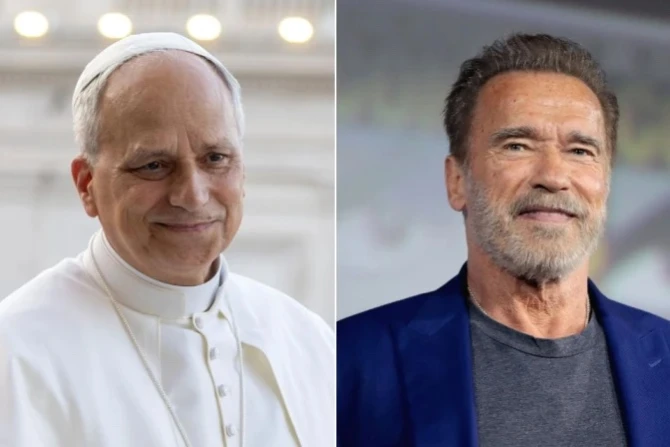 Pope Leo Schwarzenegger