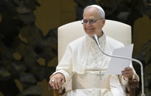Pope Leo XIV smiles during his Wednesday general audience on Aug. 13, 2025, in the Paul VI Audience Hall at the Vatican. Credit: Vatican Media