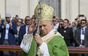Pope Leo XIV waves to pilgrims gathered in St. Peter’s Square for the Jubilee of Marian Spirituality on Oct. 12, 2025, at the Vatican. Credit: Vatican Media