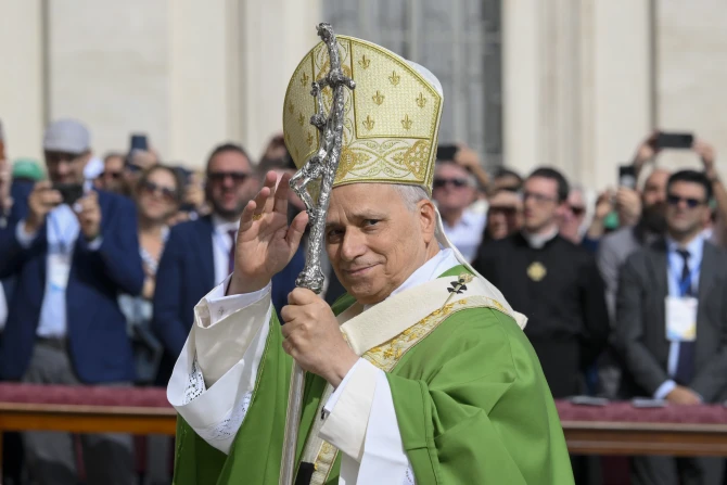Pope Leo waves