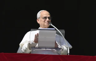Pope Leo XIV addresses pilgrims gathered in St. Peter’s Square for his Sunday Angelus on Nov. 9, 2025, at the Vatican. Credit: Vatican Media
