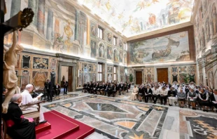Pope Leo XIV receives members of the Religious of Jesus and Mary, founded by St. Claudine Thévenet, and the Missionary Sisters of St. Charles Borromeo, known as the Scalabrinians, in the consistory hall at the Vatican on Nov. 6, 2025. Credit: Vatican Media