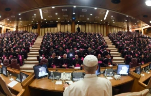 Pope Leo XIV meets with bishops on Sept. 11, 2025, at the Vatican. Credit: Vatican Media