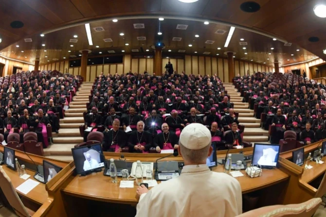 Pope meets with new bishops