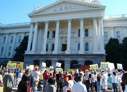 Prop. 8 supporters demonstrating?w=200&h=150