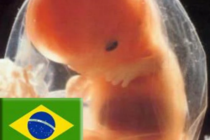 ppabortobrasil060309