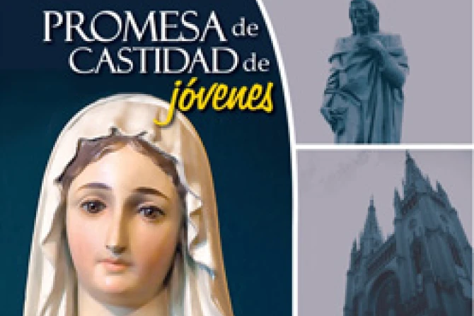 ppafichecastidad080909