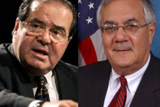 ppbarneyscalia230309