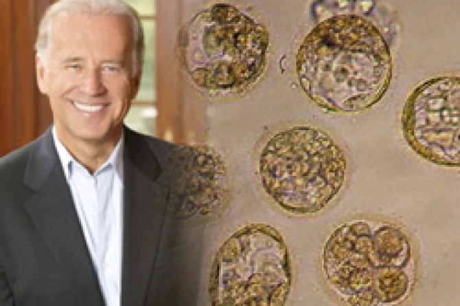 ppbidencelulas090908