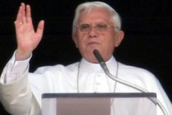ppbxvi240910c