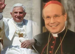 Pope Benedict XVI / Cardinal Cristoph Schönborn?w=200&h=150